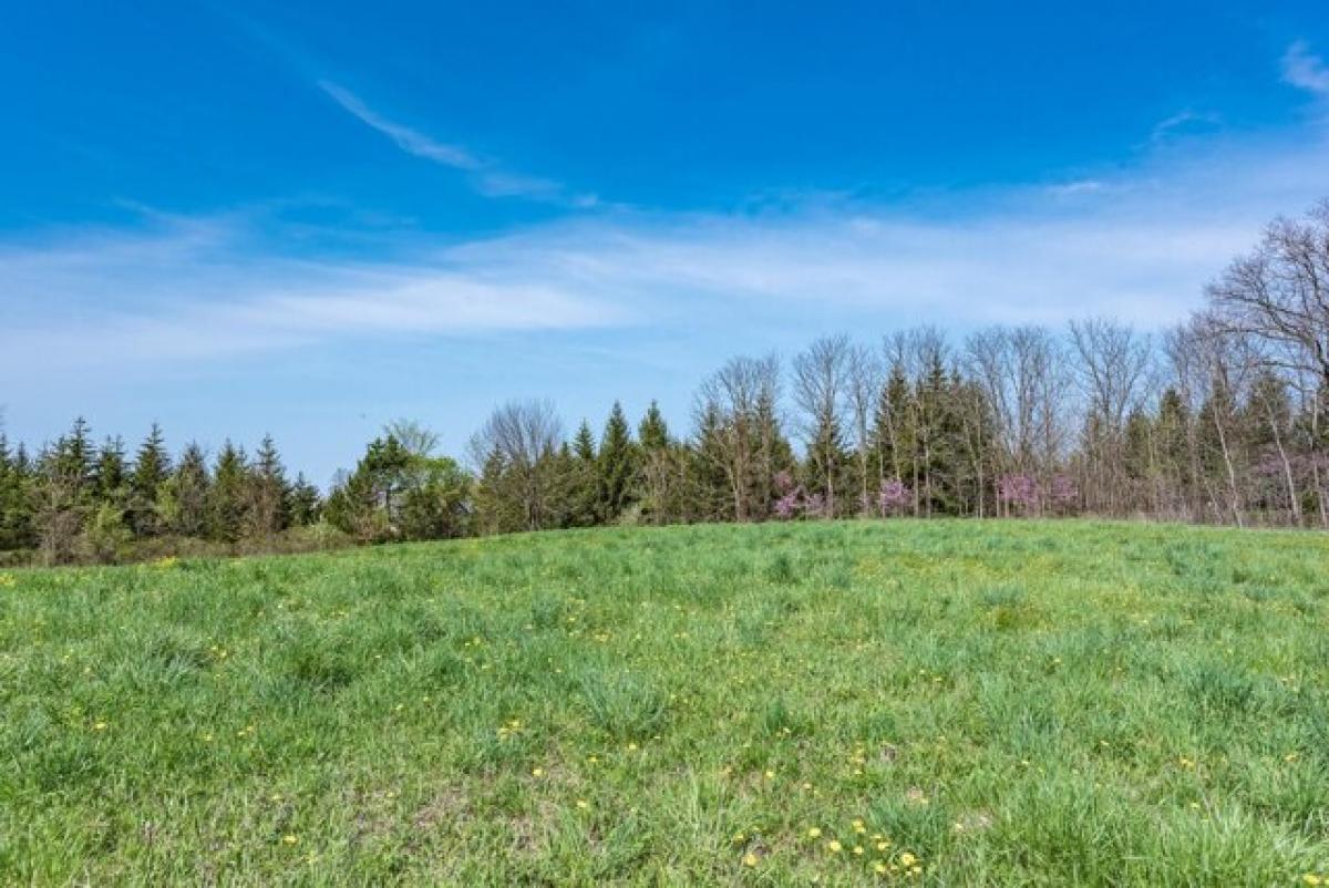 Picture of Residential Land For Sale in Alto, Michigan, United States