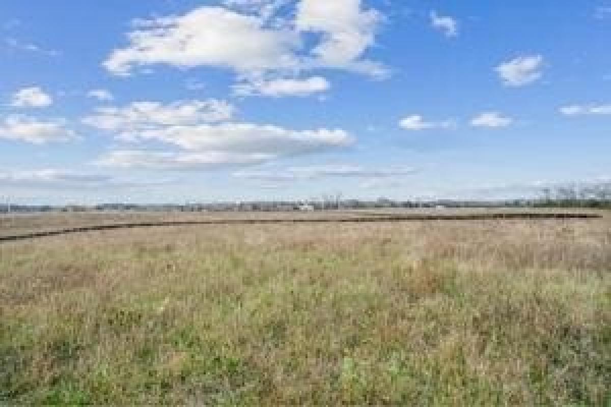 Picture of Residential Land For Sale in Scandia, Minnesota, United States