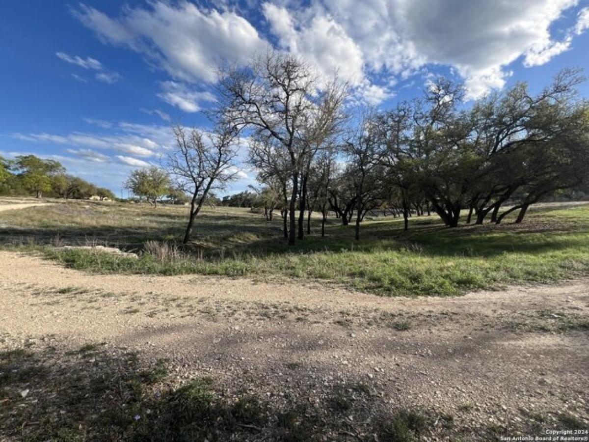 Picture of Residential Land For Sale in Ingram, Texas, United States