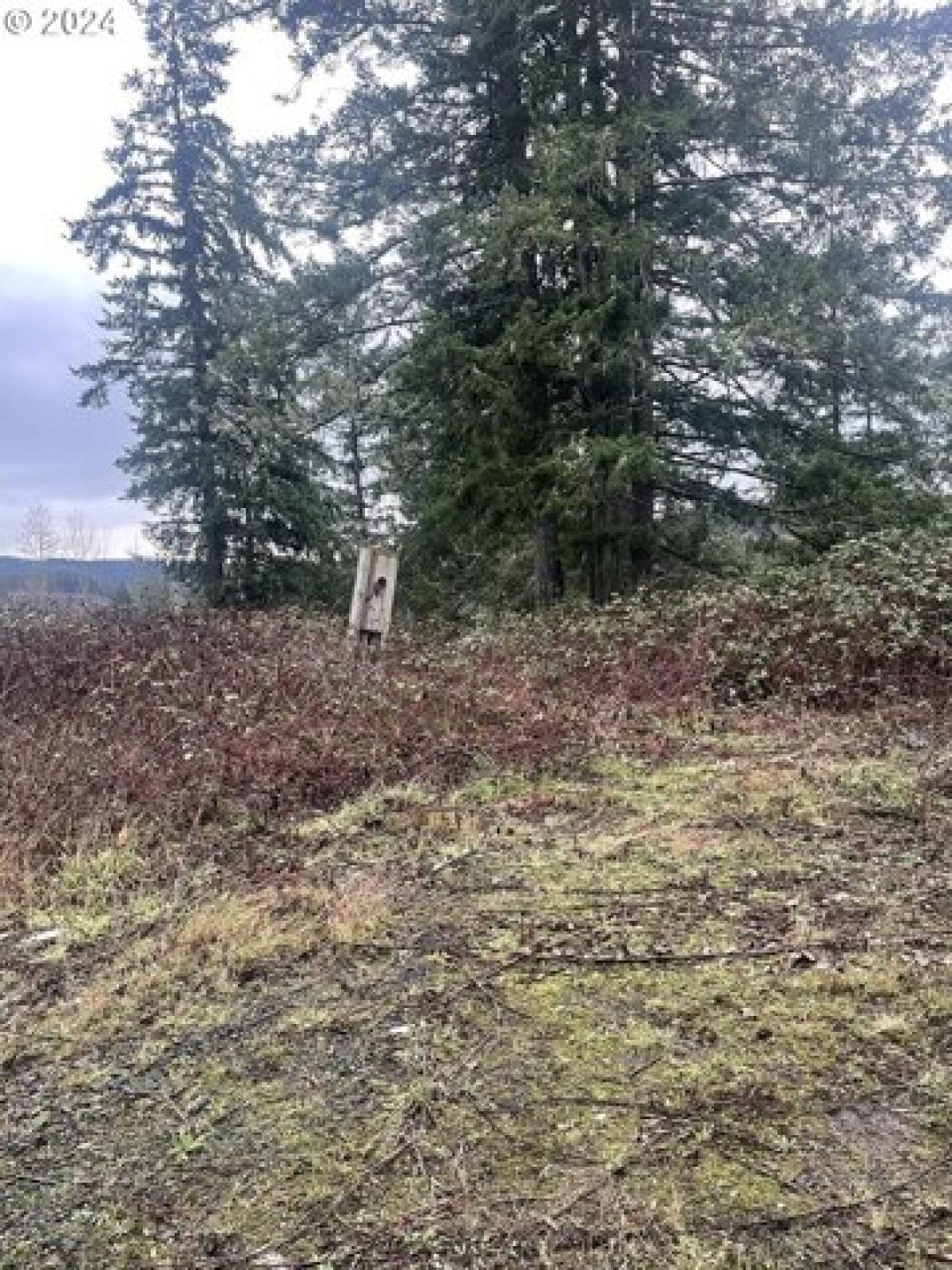 Picture of Residential Land For Sale in Estacada, Oregon, United States