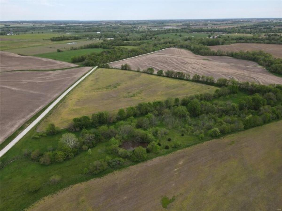 Picture of Residential Land For Sale in Palmyra, Missouri, United States