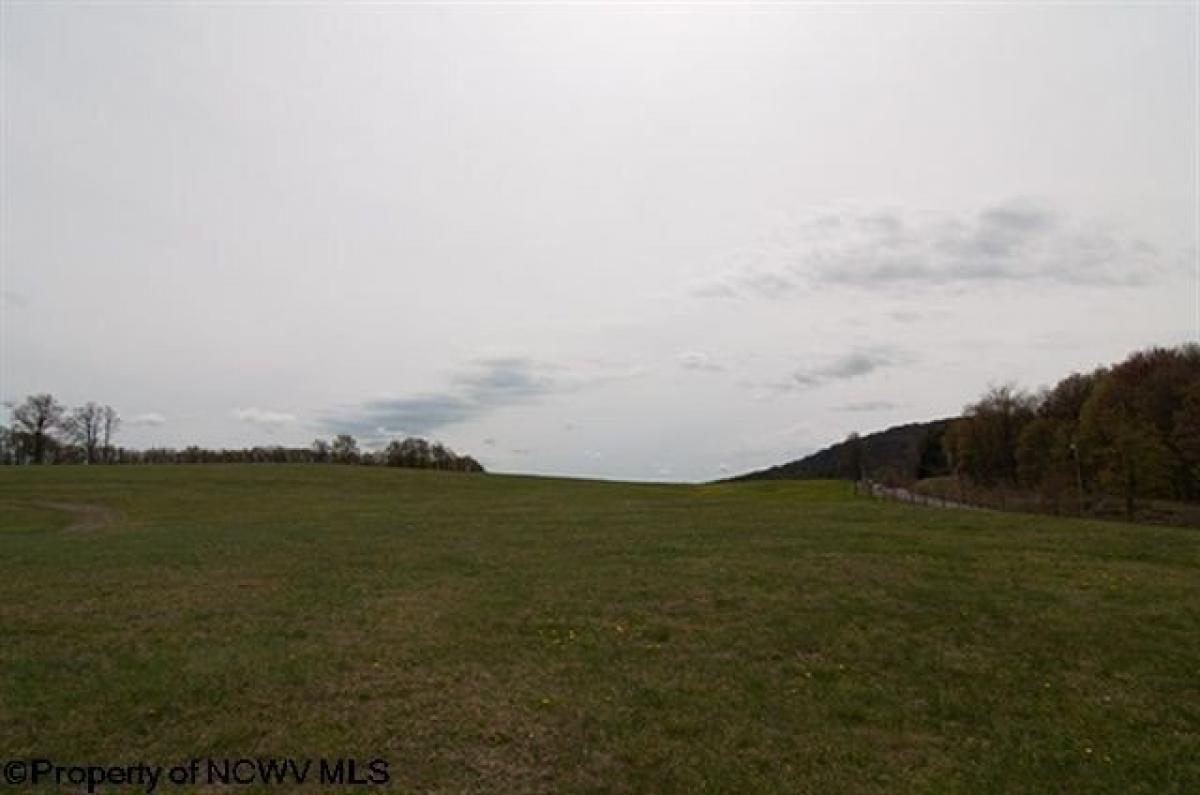 Picture of Residential Land For Sale in Davis, West Virginia, United States