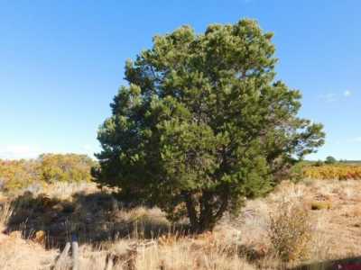 Home For Sale in Dove Creek, Colorado