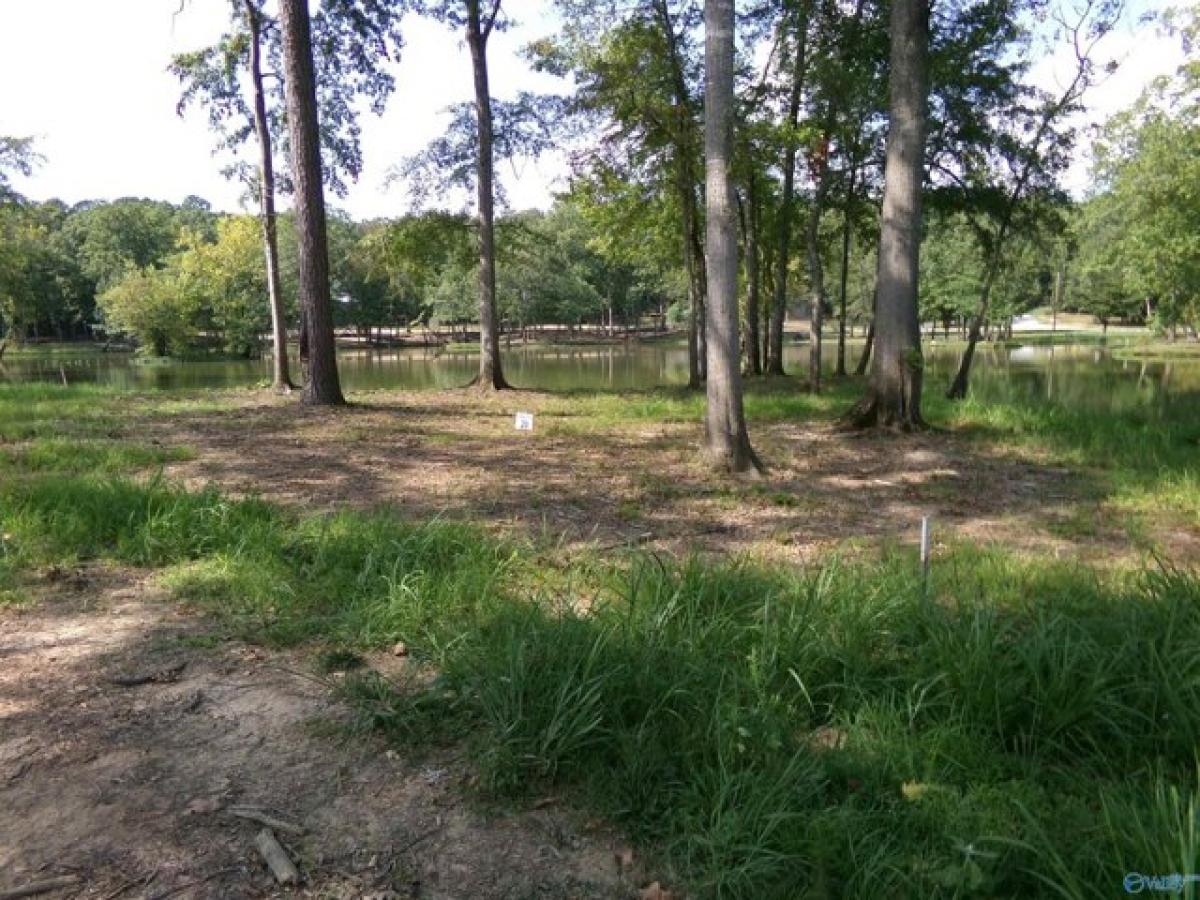 Picture of Residential Land For Sale in Cedar Bluff, Alabama, United States