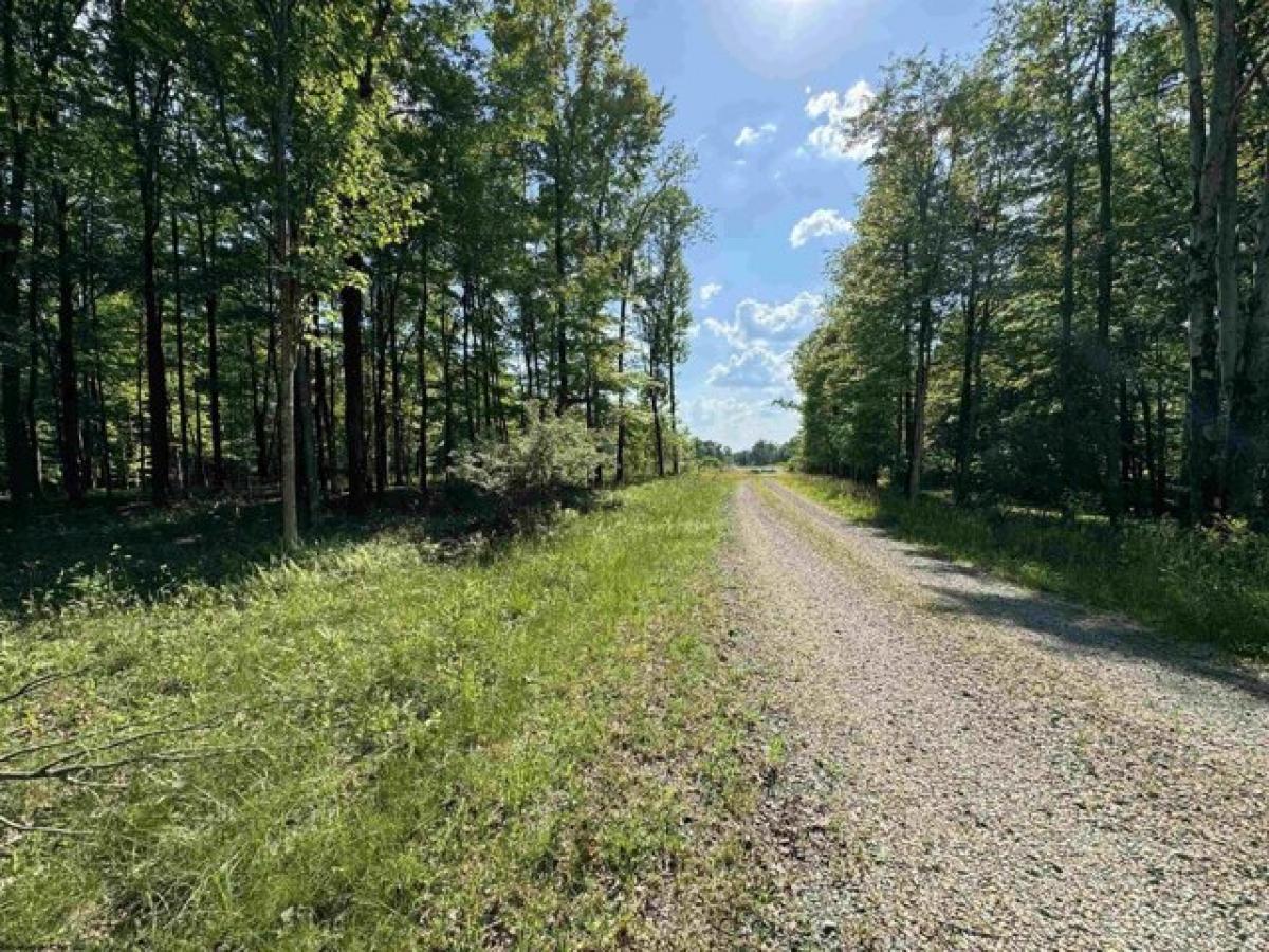 Picture of Residential Land For Sale in Fairmont, West Virginia, United States