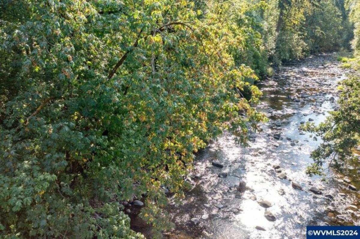 Picture of Residential Land For Sale in Silverton, Oregon, United States