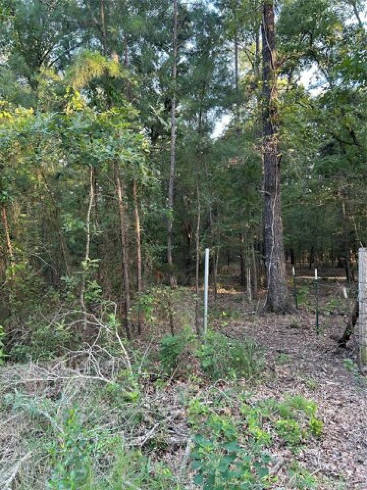 Picture of Residential Land For Sale in Onalaska, Texas, United States