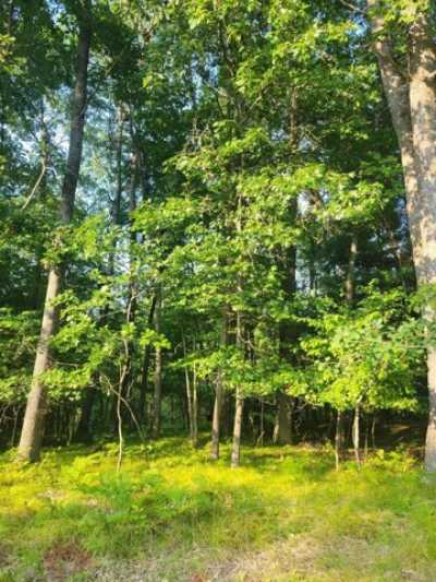 Residential Land For Sale in Prudenville, Michigan