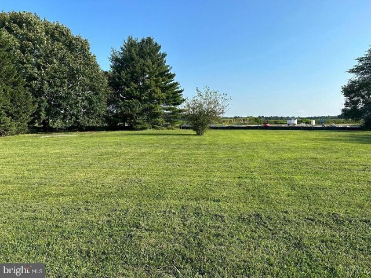 Picture of Residential Land For Sale in Milton, Delaware, United States