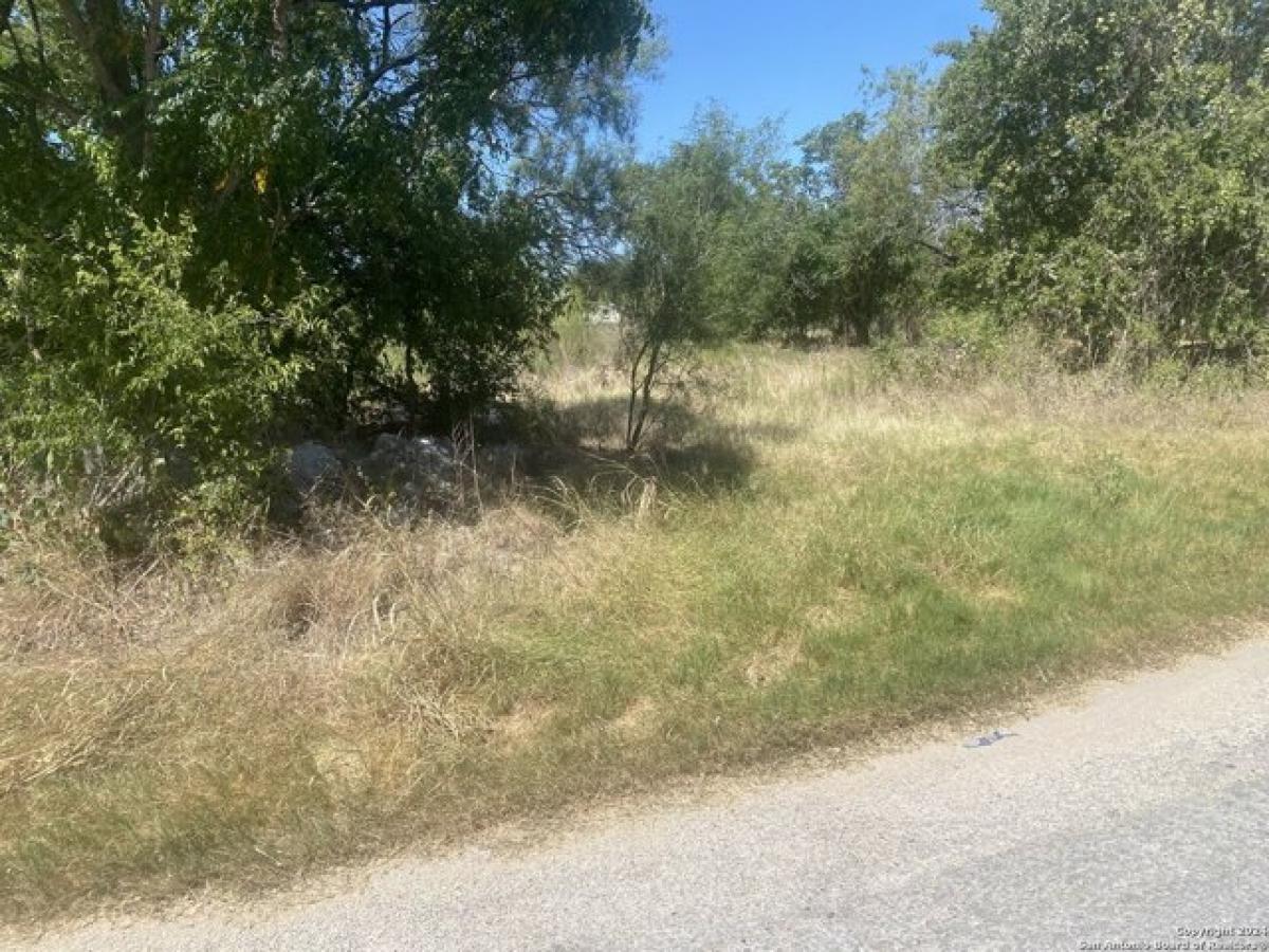 Picture of Residential Land For Sale in Lytle, Texas, United States