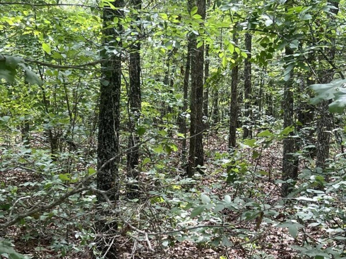 Picture of Residential Land For Rent in Mammoth Spring, Arkansas, United States