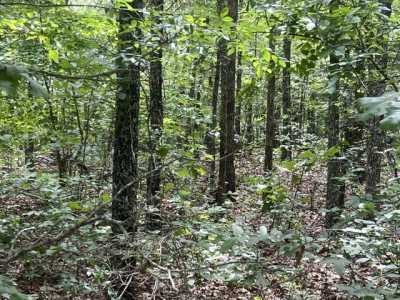 Residential Land For Rent in Mammoth Spring, Arkansas