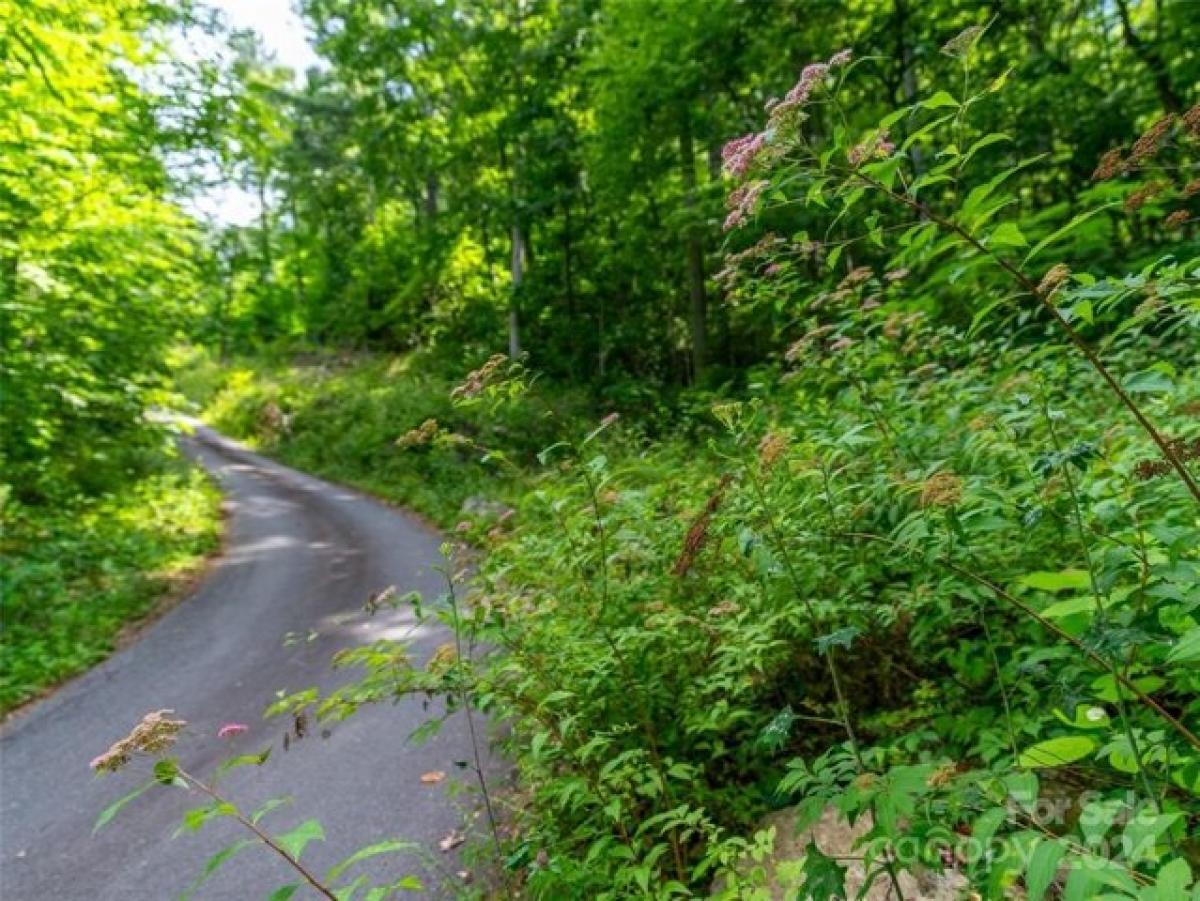 Picture of Residential Land For Sale in Swannanoa, North Carolina, United States