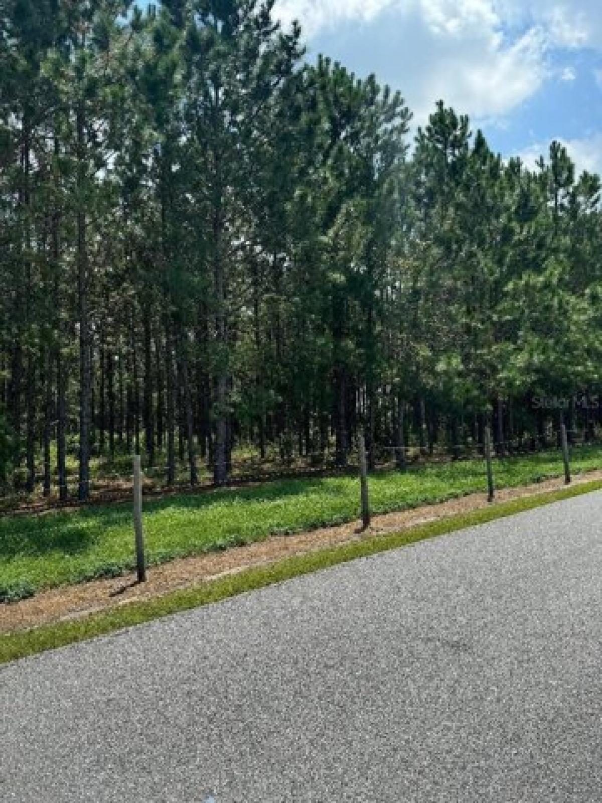 Picture of Residential Land For Sale in Oxford, Florida, United States