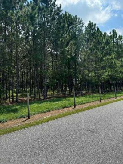 Residential Land For Sale in Oxford, Florida