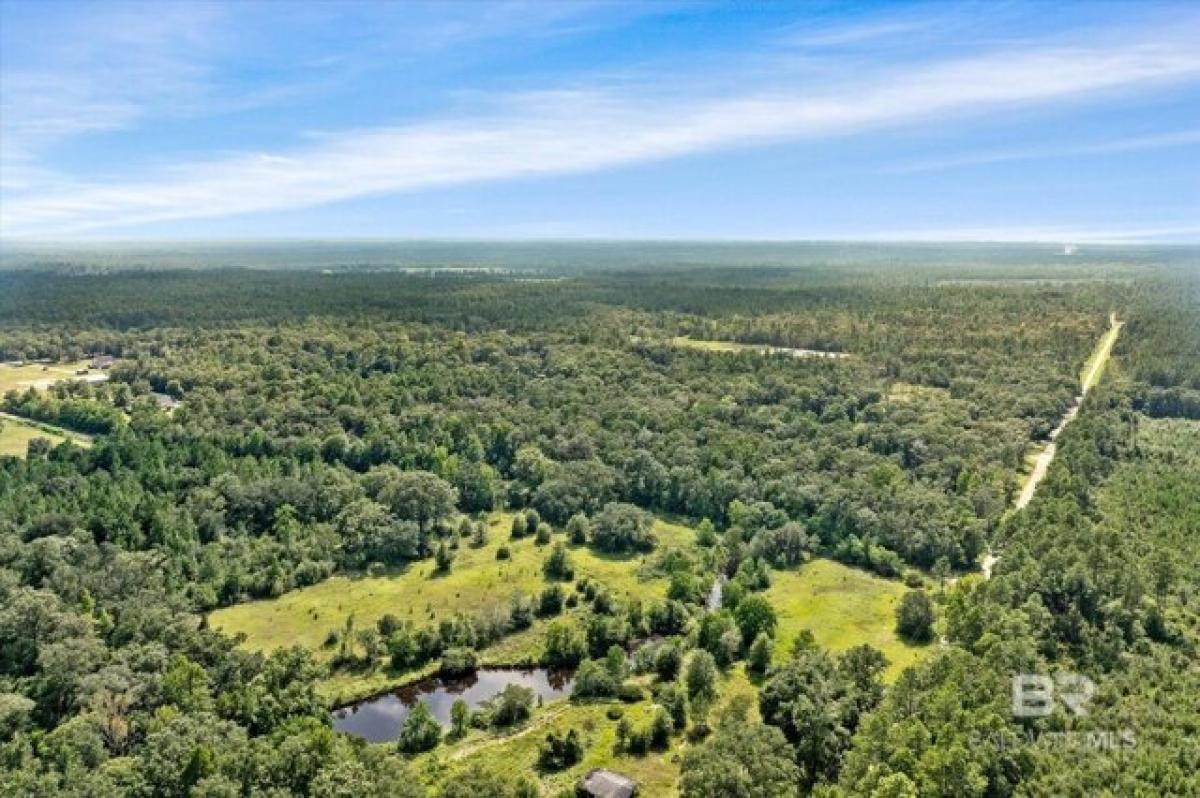 Picture of Residential Land For Sale in Satsuma, Alabama, United States