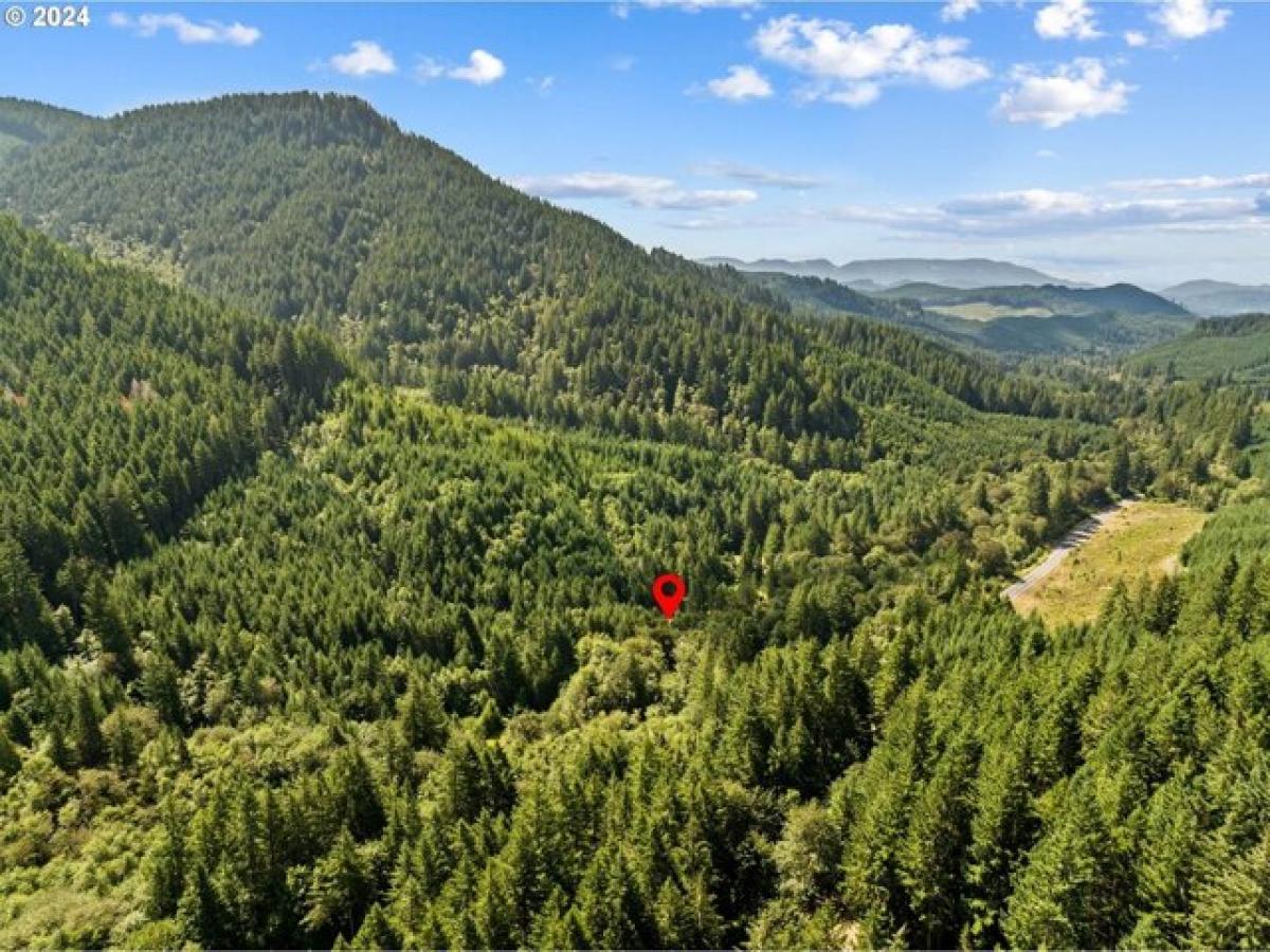 Picture of Residential Land For Sale in Alsea, Oregon, United States