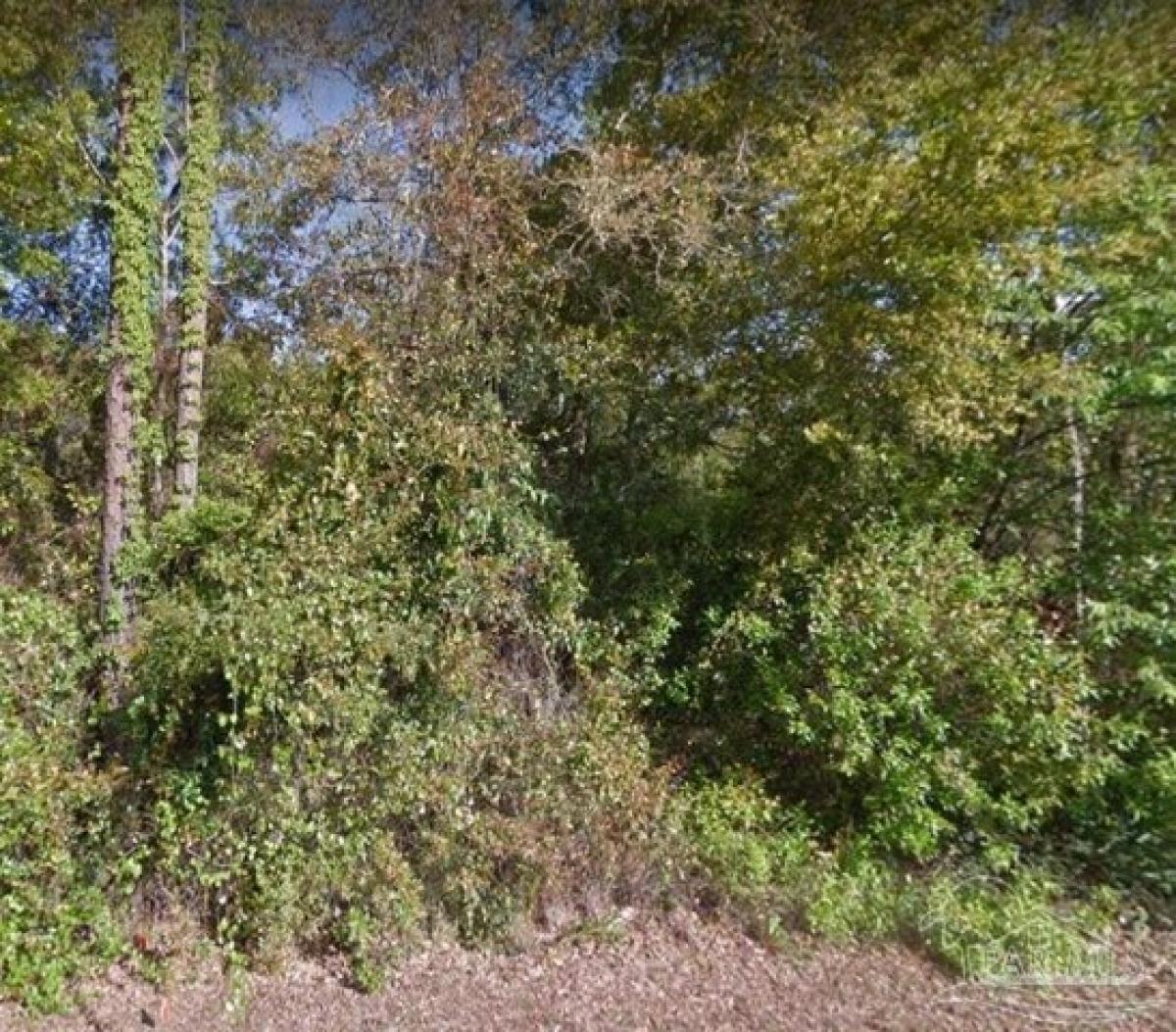 Picture of Residential Land For Sale in Pensacola, Florida, United States