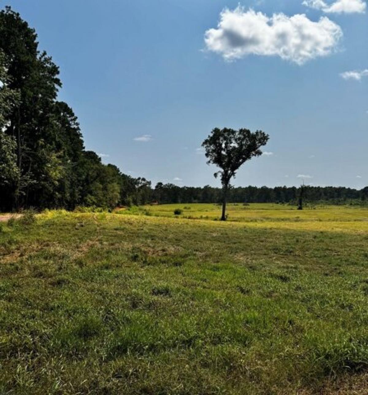 Picture of Residential Land For Sale in Nacogdoches, Texas, United States