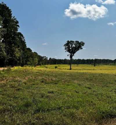 Residential Land For Sale in Nacogdoches, Texas