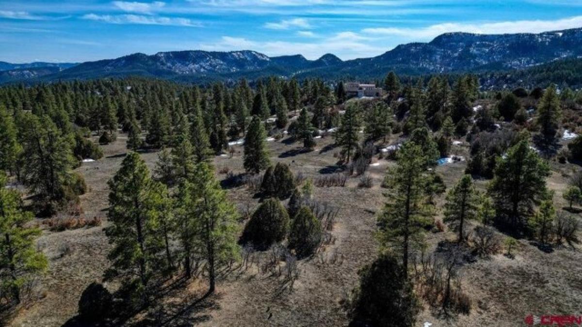 Picture of Residential Land For Sale in Pagosa Springs, Colorado, United States