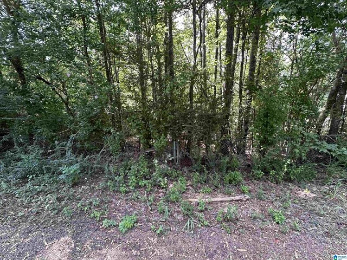 Picture of Residential Land For Sale in Bessemer, Alabama, United States