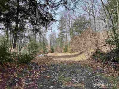 Residential Land For Sale in Seney, Michigan