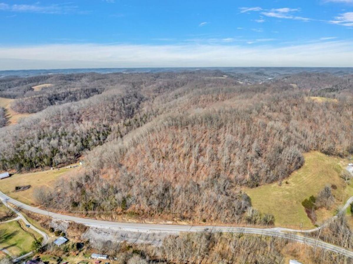 Picture of Residential Land For Sale in Elmwood, Tennessee, United States