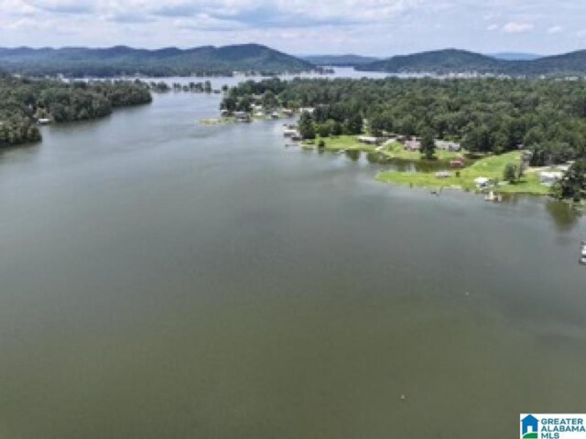 Picture of Residential Land For Sale in Ohatchee, Alabama, United States