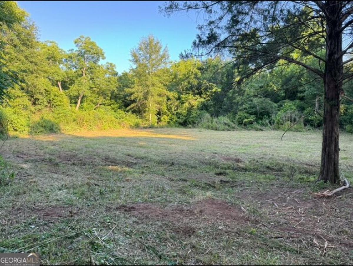 Picture of Residential Land For Sale in Dawson, Georgia, United States