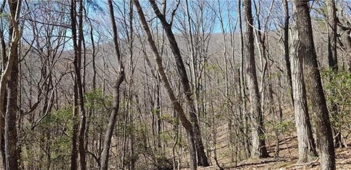 Picture of Residential Land For Sale in Jasper, Georgia, United States