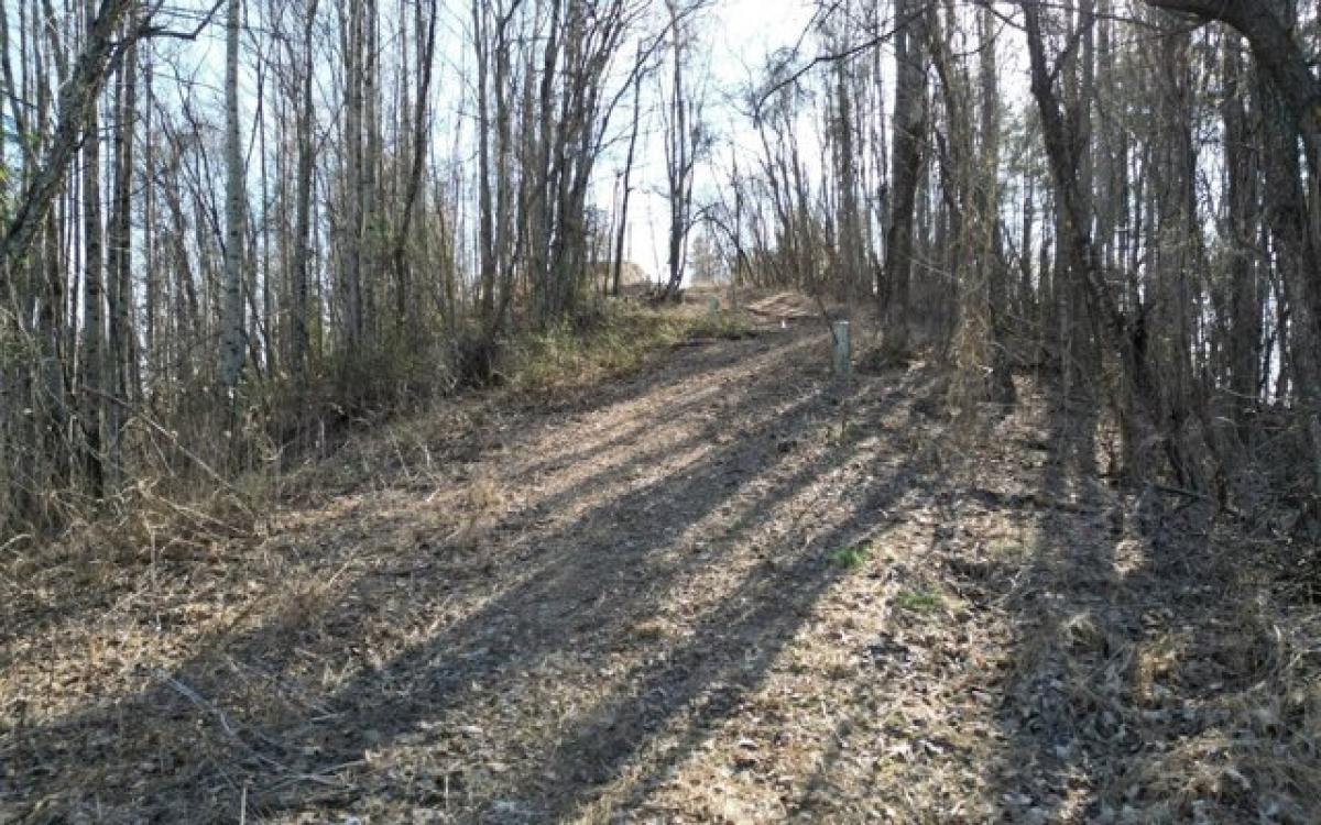 Picture of Residential Land For Sale in Murphy, North Carolina, United States