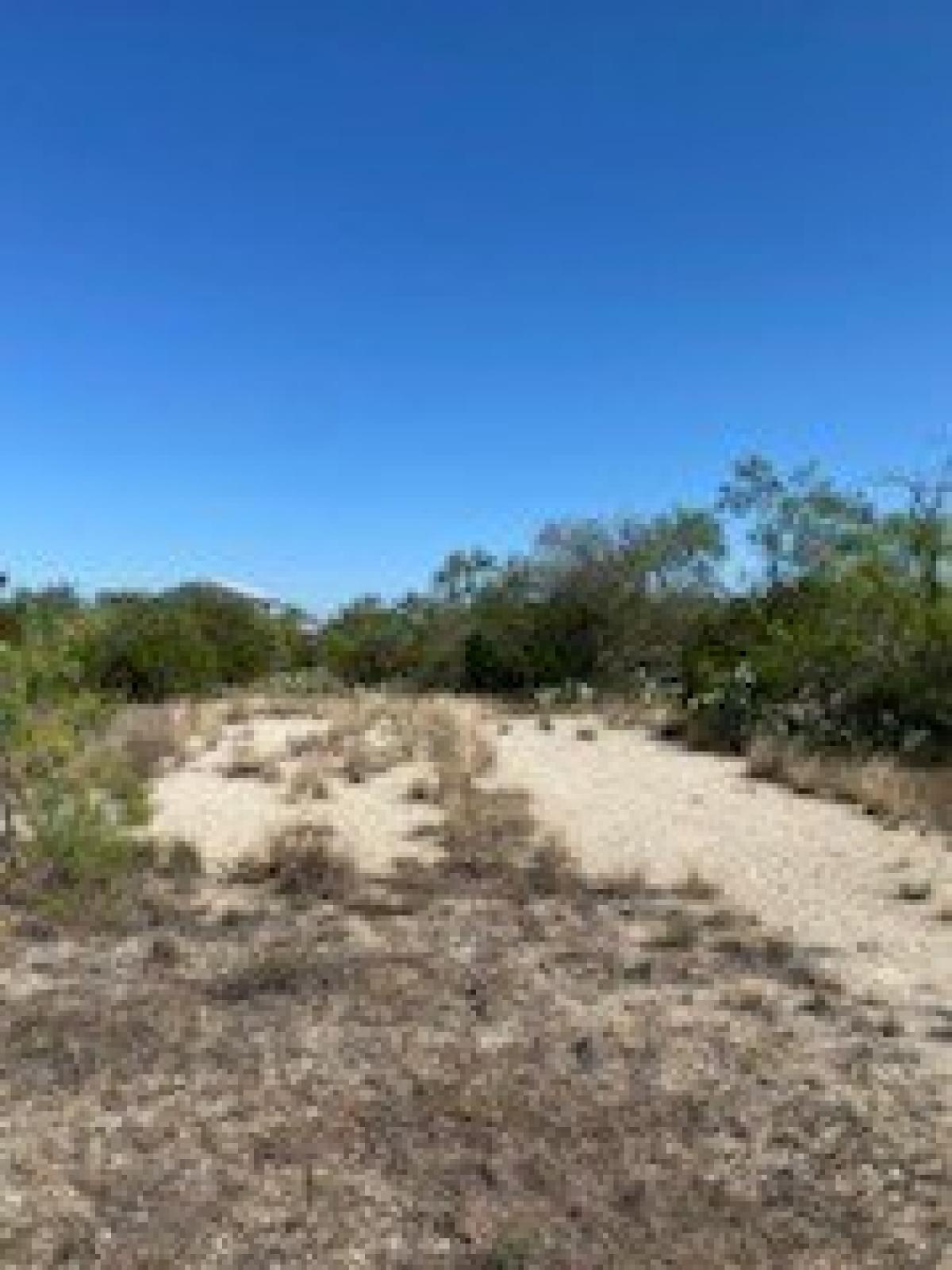 Picture of Residential Land For Sale in San Angelo, Texas, United States