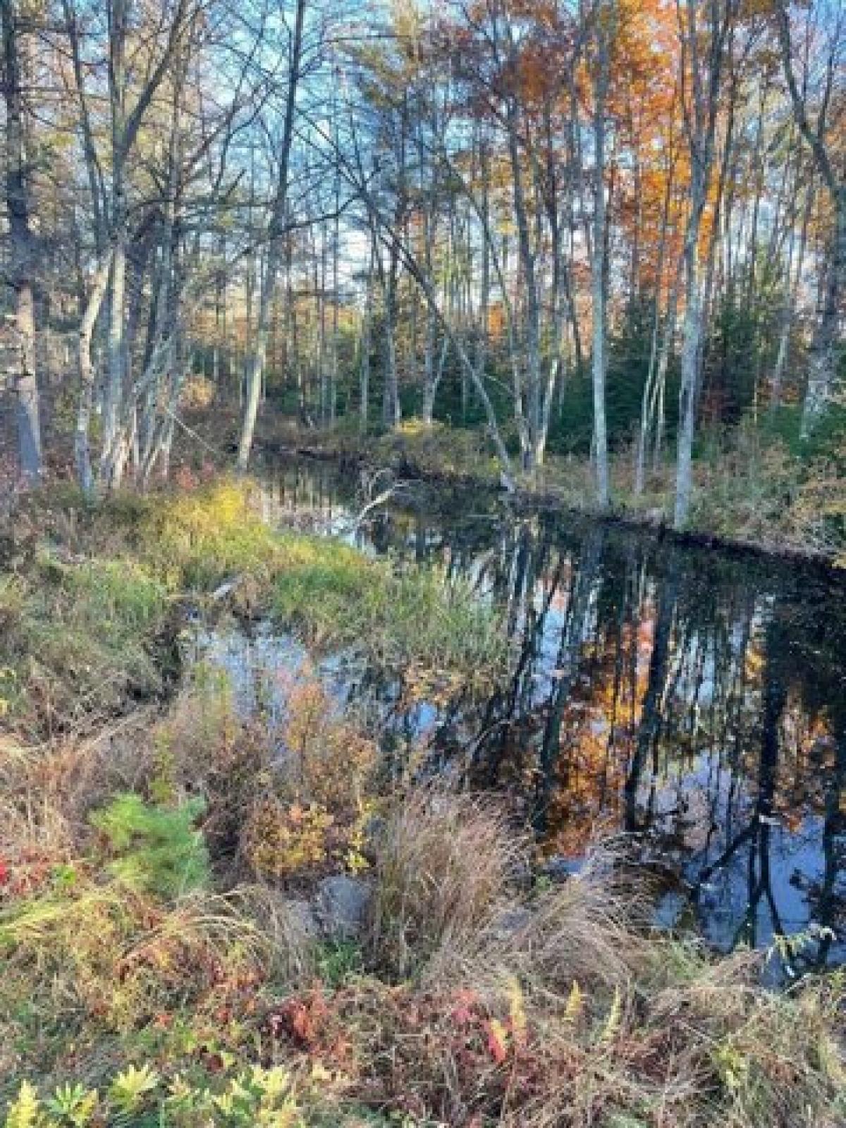 Picture of Residential Land For Sale in Ossipee, New Hampshire, United States