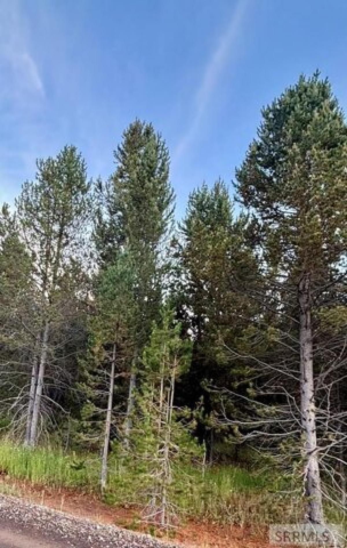 Picture of Residential Land For Sale in Island Park, Idaho, United States