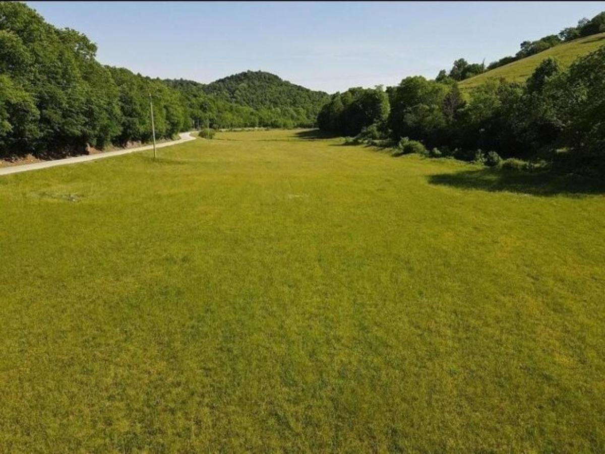 Picture of Residential Land For Sale in Chestnut Mound, Tennessee, United States