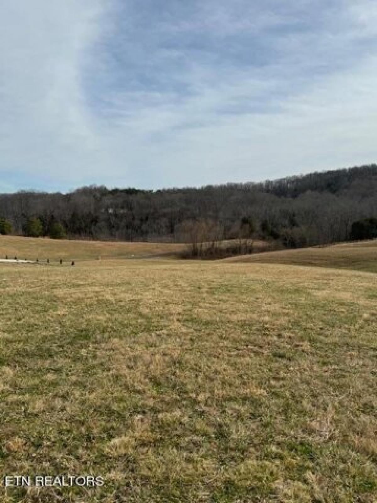 Picture of Residential Land For Sale in Byrdstown, Tennessee, United States