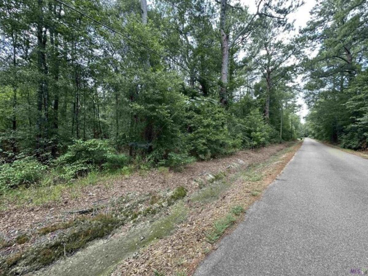 Picture of Residential Land For Sale in Robert, Louisiana, United States