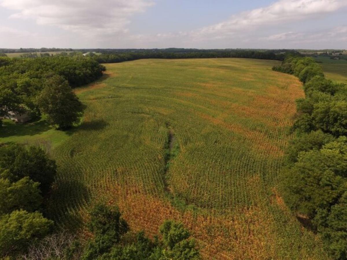 Picture of Residential Land For Sale in Perry, Kansas, United States