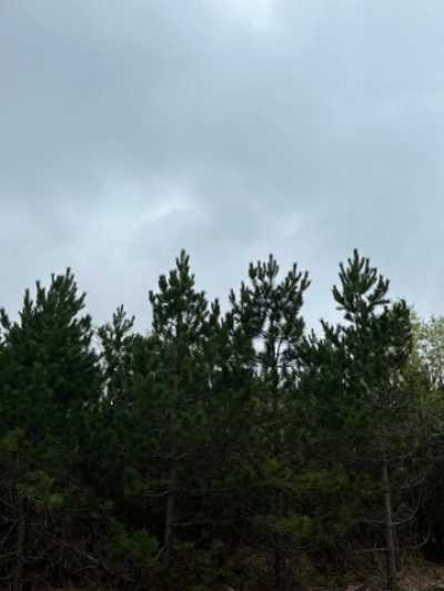 Residential Land For Sale in Tomahawk, Wisconsin