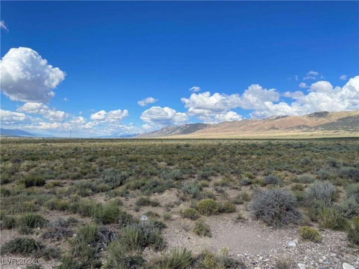 Picture of Residential Land For Sale in Ely, Nevada, United States