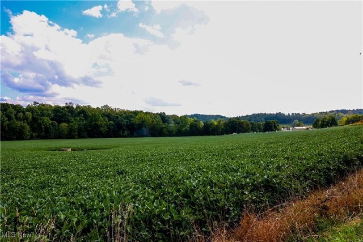 Picture of Residential Land For Sale in Warsaw, Ohio, United States