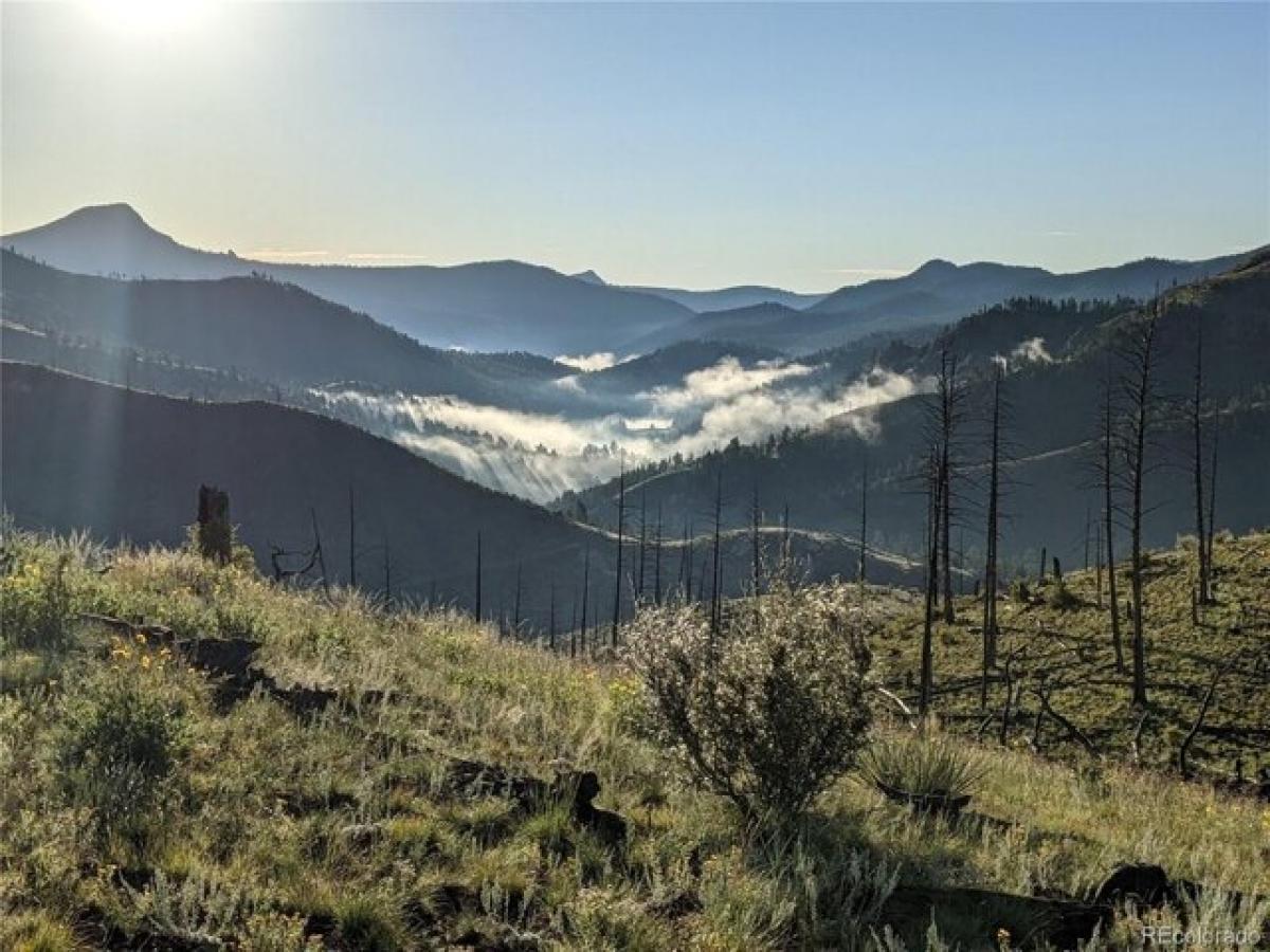 Picture of Residential Land For Sale in Bailey, Colorado, United States