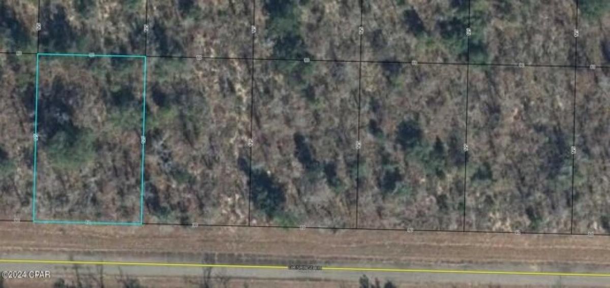 Picture of Residential Land For Rent in Chipley, Florida, United States