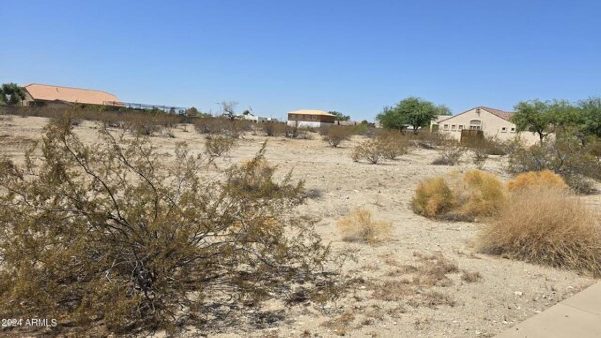 Picture of Residential Land For Sale in Buckeye, Arizona, United States