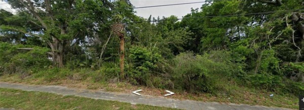 Picture of Residential Land For Sale in Mims, Florida, United States