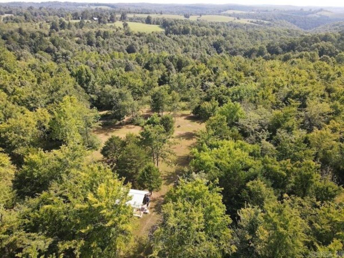 Picture of Residential Land For Sale in Saint Joe, Arkansas, United States