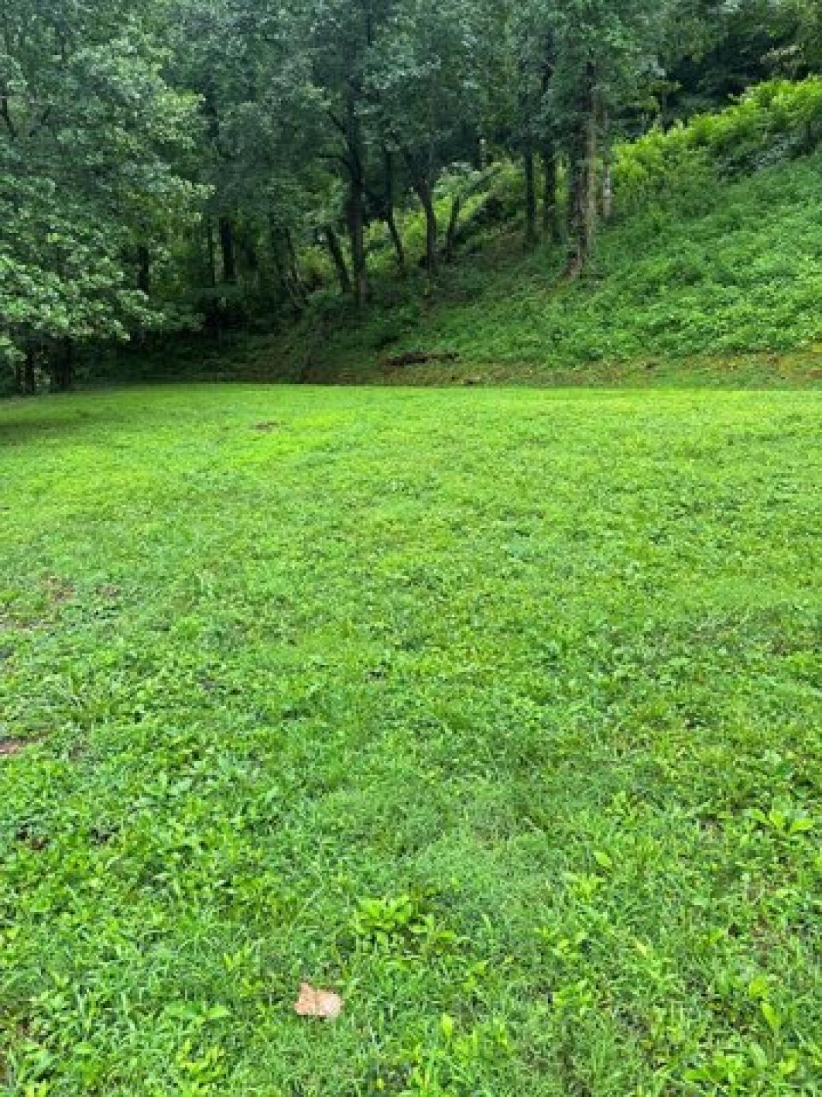 Picture of Home For Sale in Pikeville, Kentucky, United States