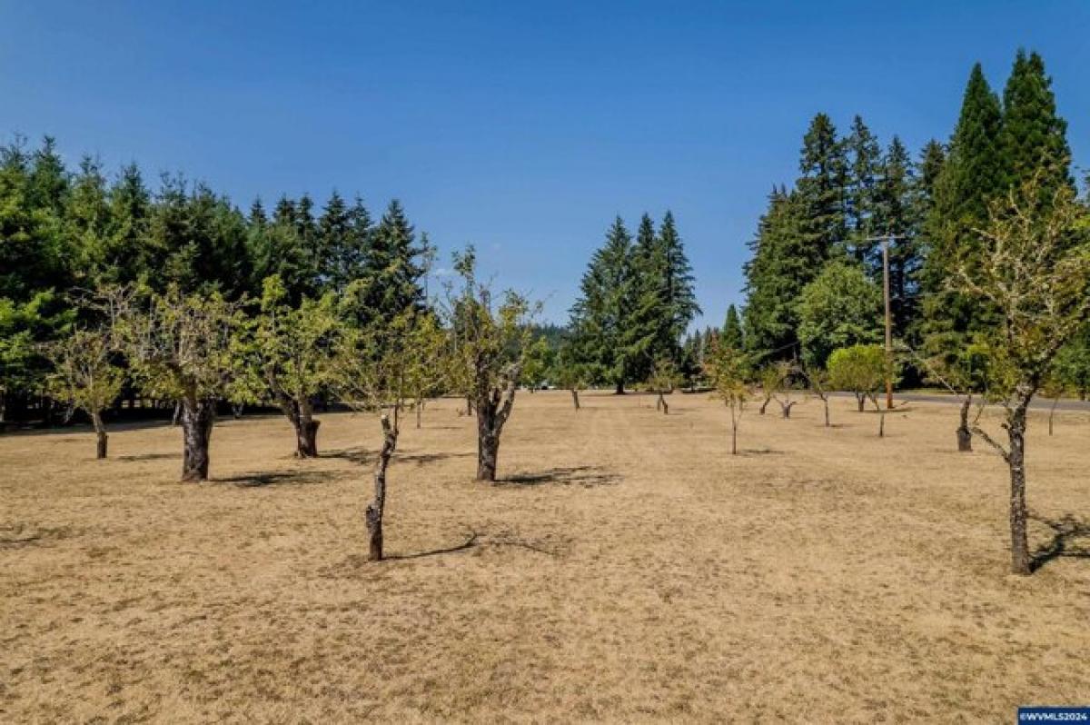 Picture of Residential Land For Sale in Lebanon, Oregon, United States