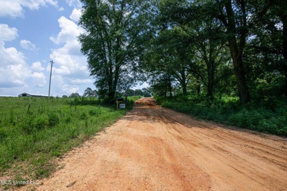 Picture of Residential Land For Rent in Prentiss, Mississippi, United States